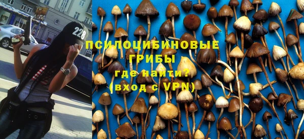 мдпв Абаза
