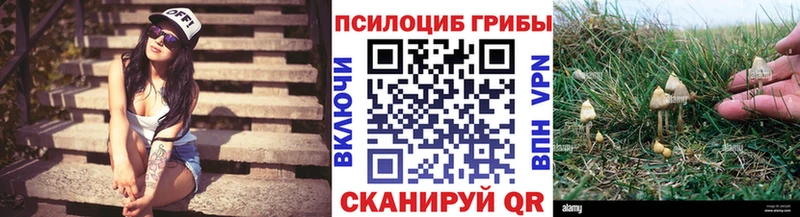 как найти наркотики  блэк спрут рабочий сайт  Псилоцибиновые грибы GOLDEN TEACHER  Новокузнецк 